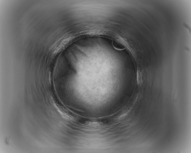 X0000101960205200808011115