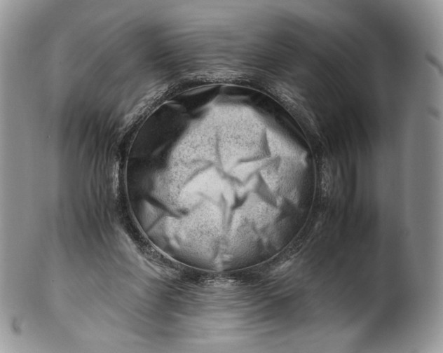 X0000101960206200808011115