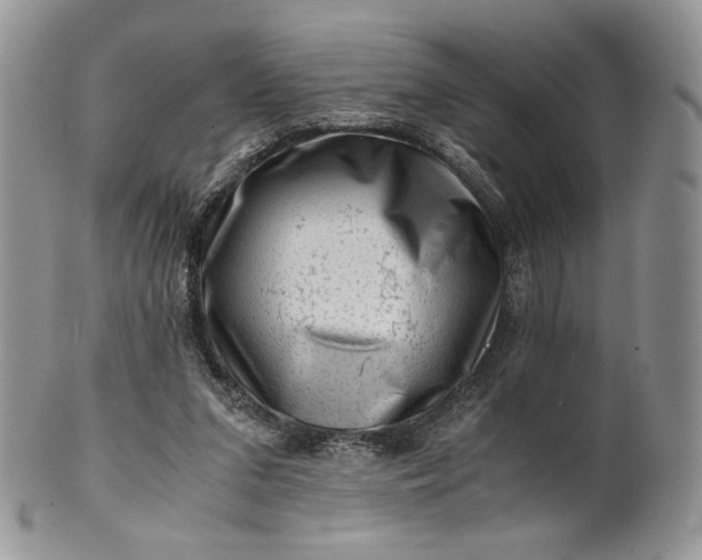 X0000101960207200808011115