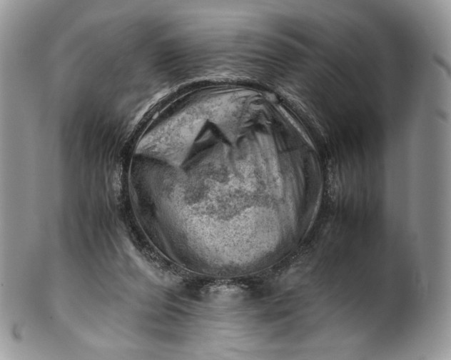 X0000101960208200808011115