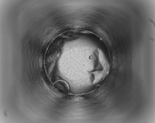 X0000101960210200808011115