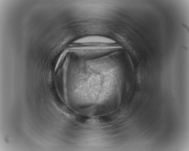 X0000101960211200808011115