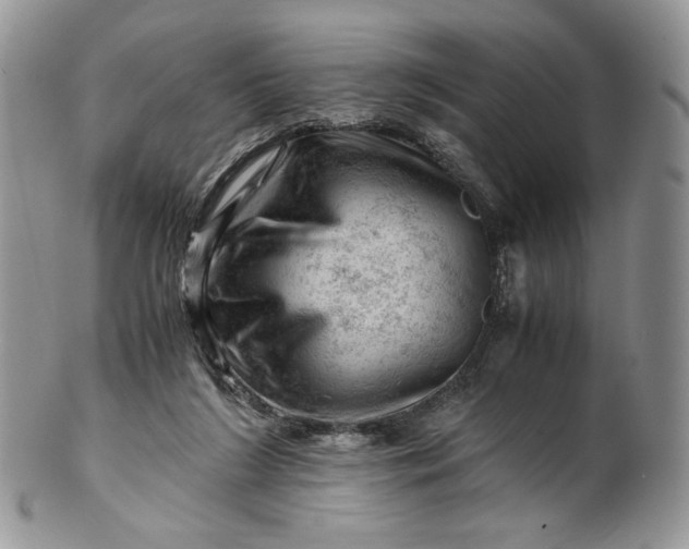 X0000101960212200808011115