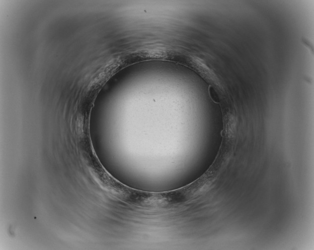 X0000101960213200808011115