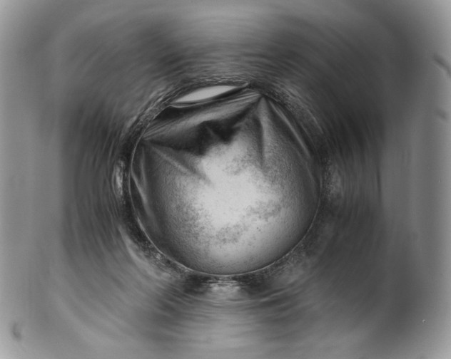 X0000101960214200808011115