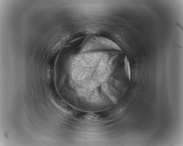 X0000101960215200808011115