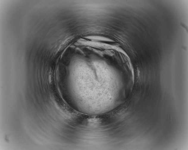 X0000101960216200808011115