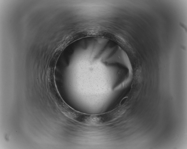 X0000101960217200808011115