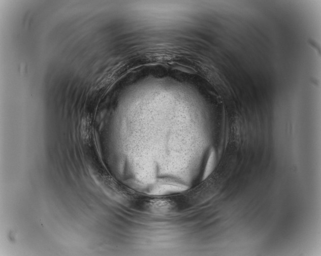 X0000101960218200808011115