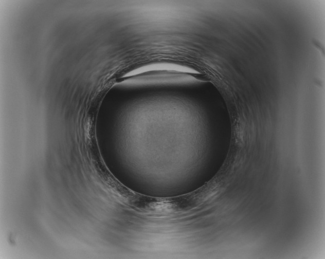 X0000101960219200808011115