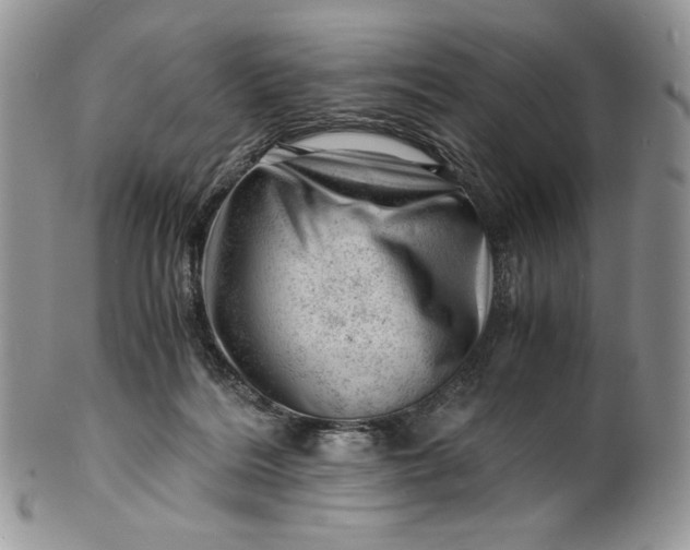 X0000101960220200808011115