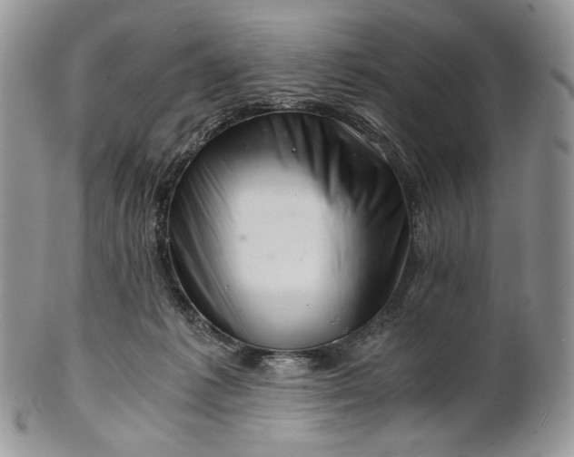 X0000101960221200808011115