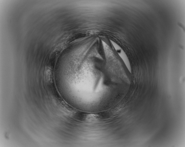 X0000101960222200808011115