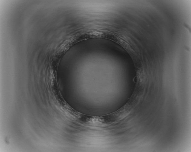 X0000101960223200808011115