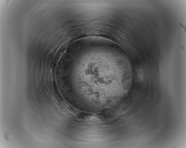 X0000101960224200808011115