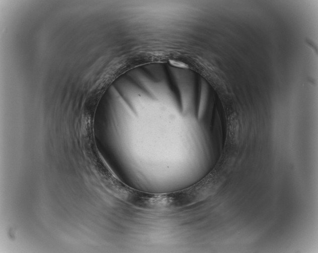 X0000101960225200808011115