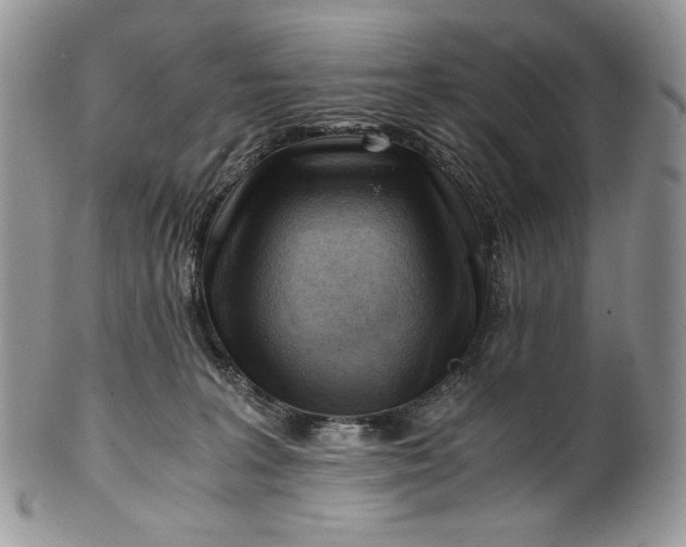 X0000101960227200808011115