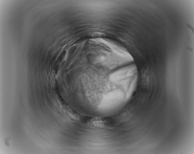 X0000101960228200808011115