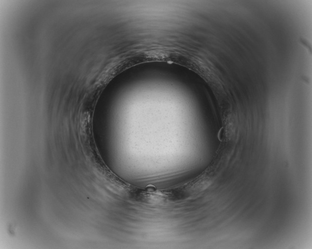 X0000101960229200808011115