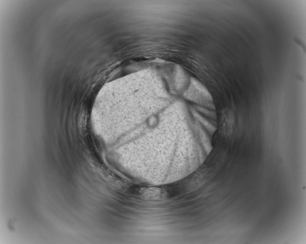 X0000101960230200808011115