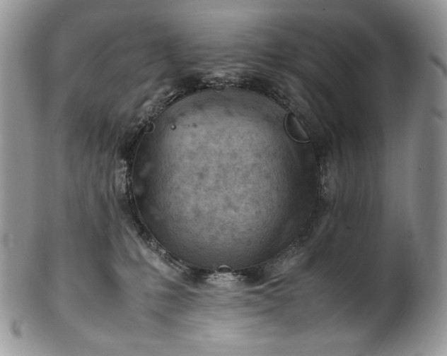 X0000101960231200808011115