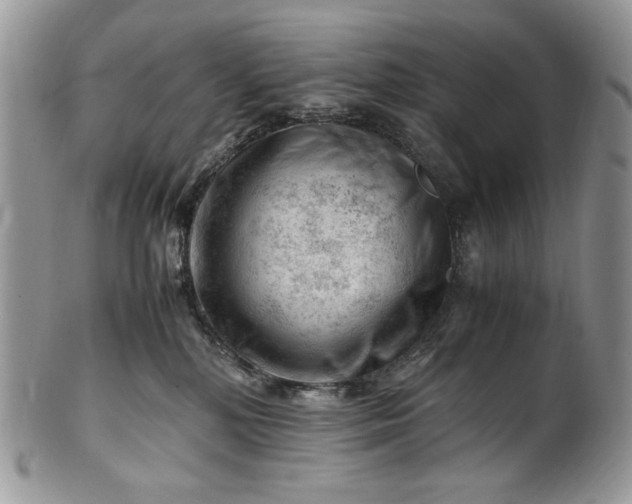 X0000101960232200808011115