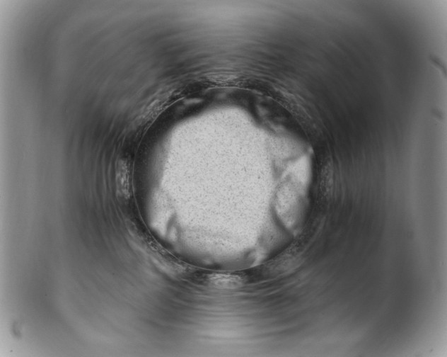 X0000101960234200808011115