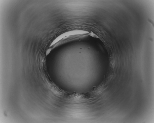 X0000101960235200808011115