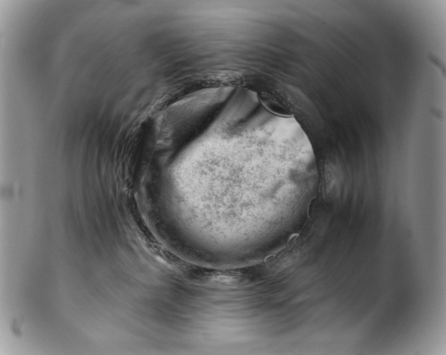 X0000101960236200808011115