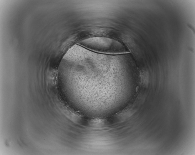 X0000101960237200808011115