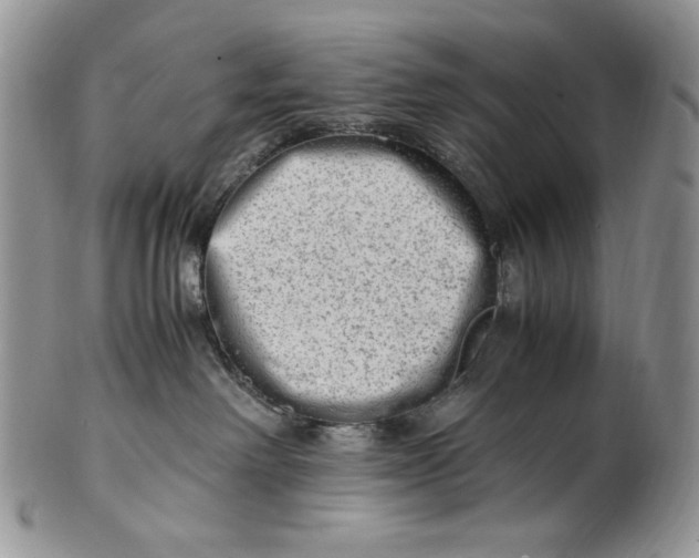 X0000101960238200808011115