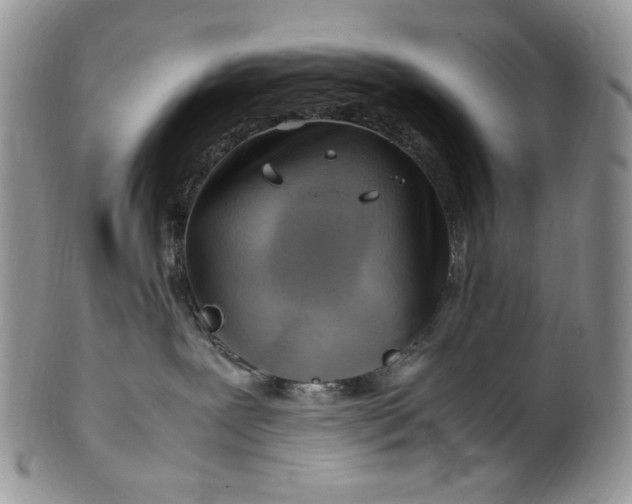 X0000101960239200808011115