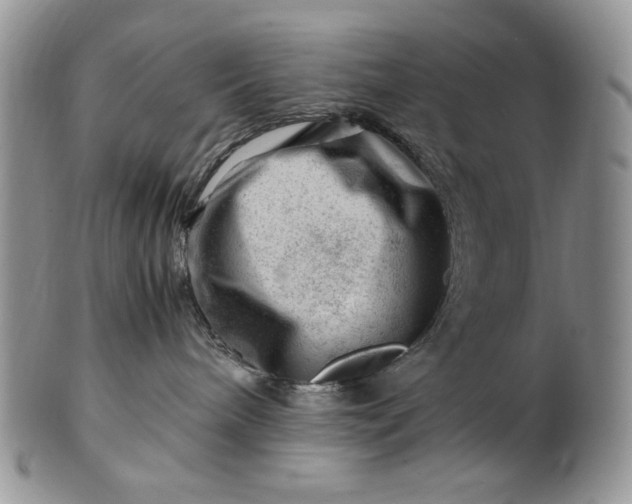 X0000101960240200808011115