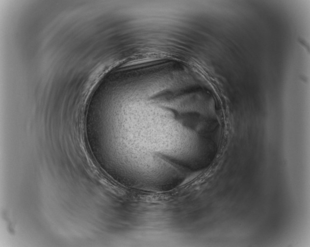 X0000101960241200808011114