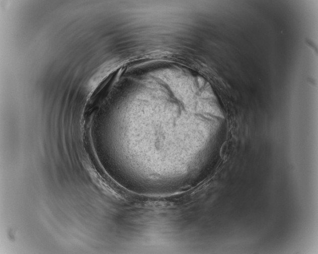 X0000101960242200808011114