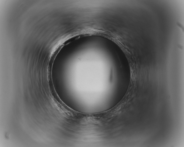 X0000101960244200808011114