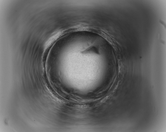 X0000101960245200808011114