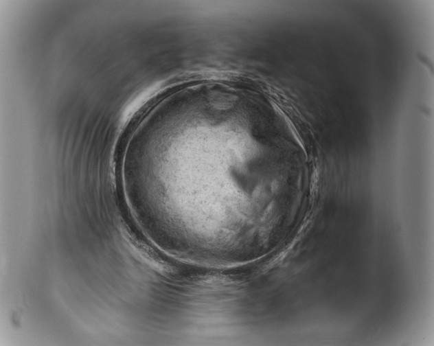 X0000101960246200808011114