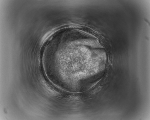 X0000101960247200808011114