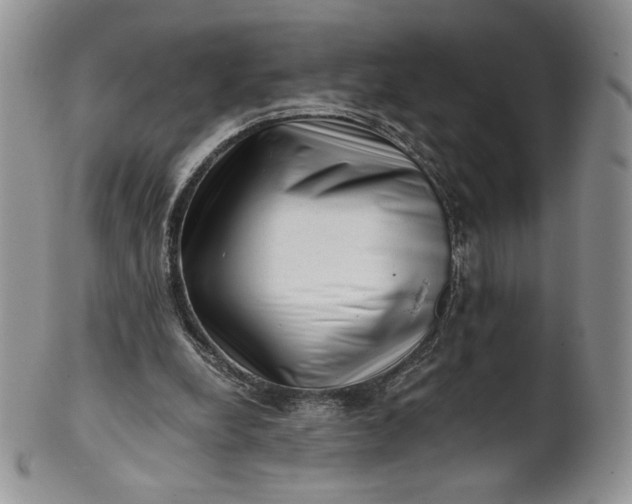 X0000101960248200808011114