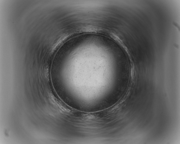 X0000101960249200808011114