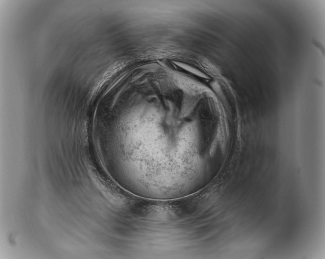 X0000101960250200808011114