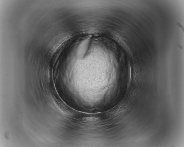 X0000101960251200808011114