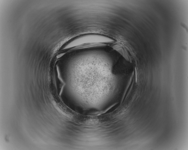 X0000101960252200808011114