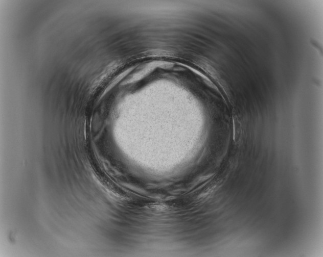 X0000101960253200808011114