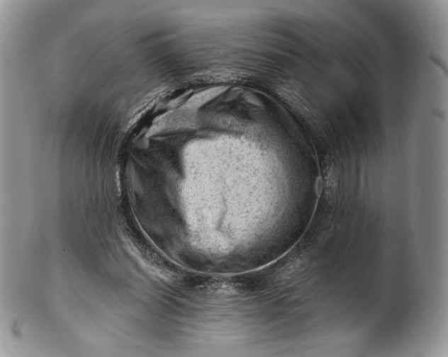 X0000101960254200808011114