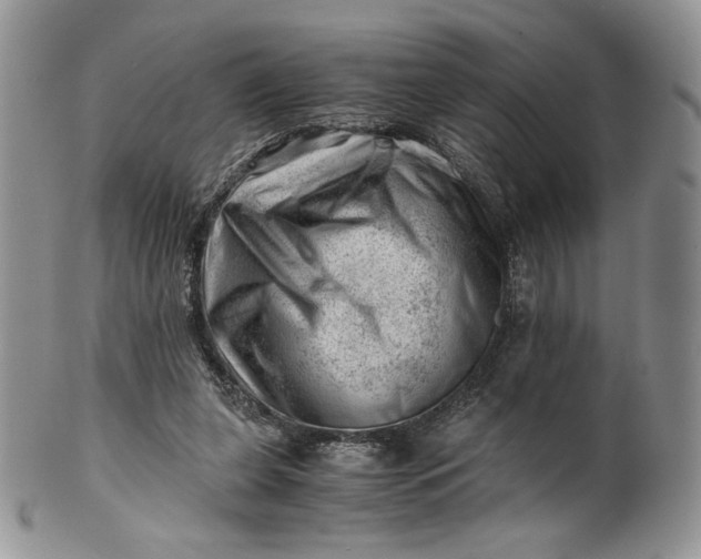 X0000101960255200808011114