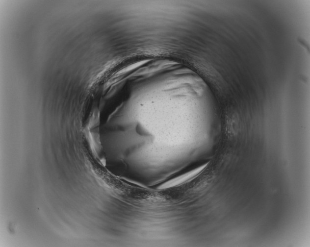 X0000101960256200808011114