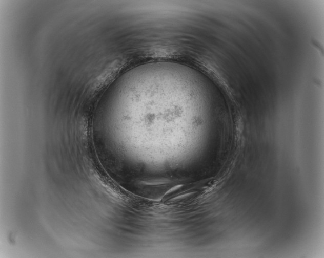 X0000101960257200808011114