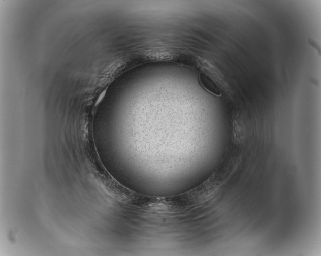 X0000101960259200808011114